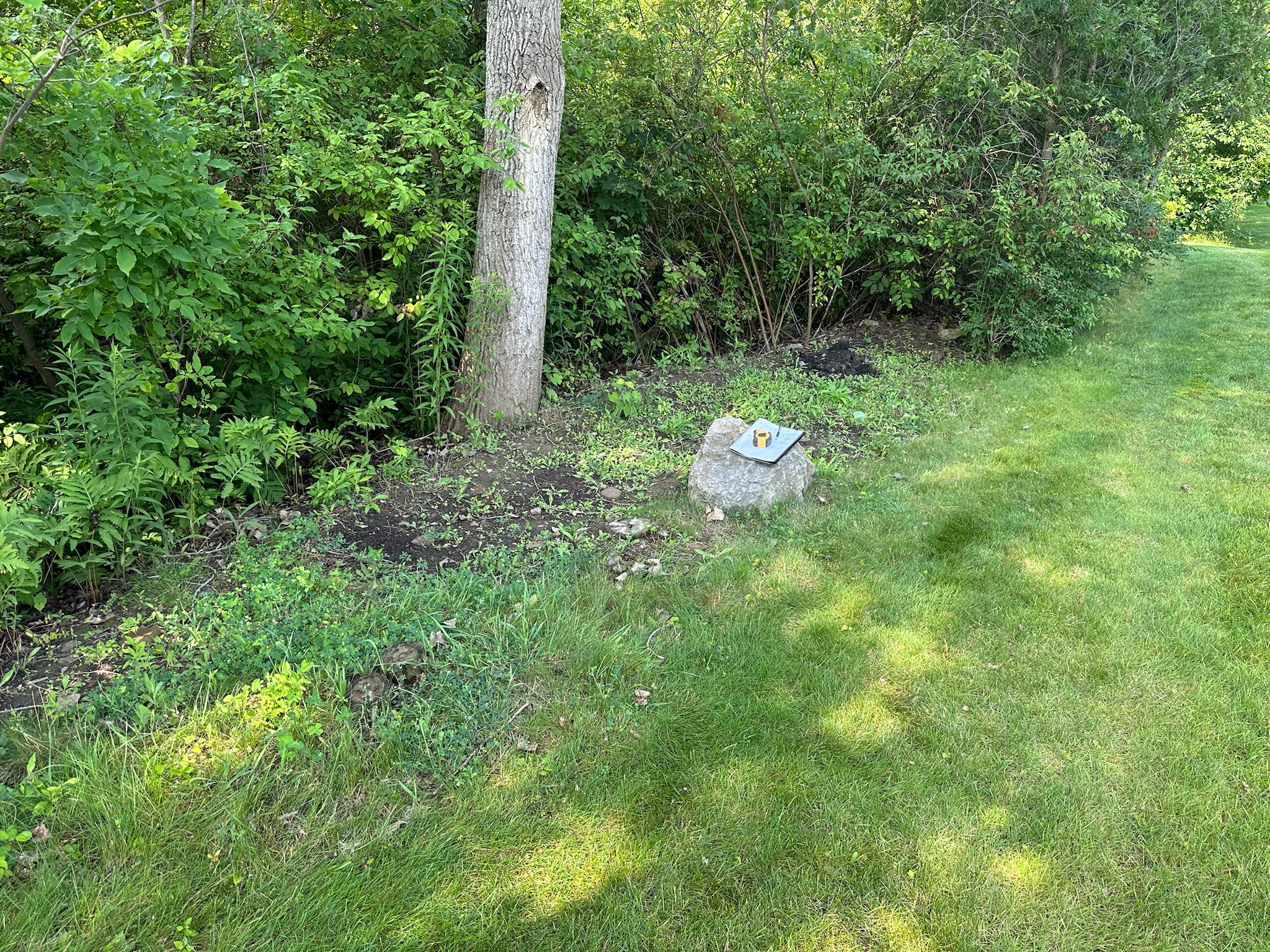 2024 garden and stone before photo 2